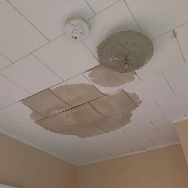 Ceiling Water Damage Repair in Rockport, TX