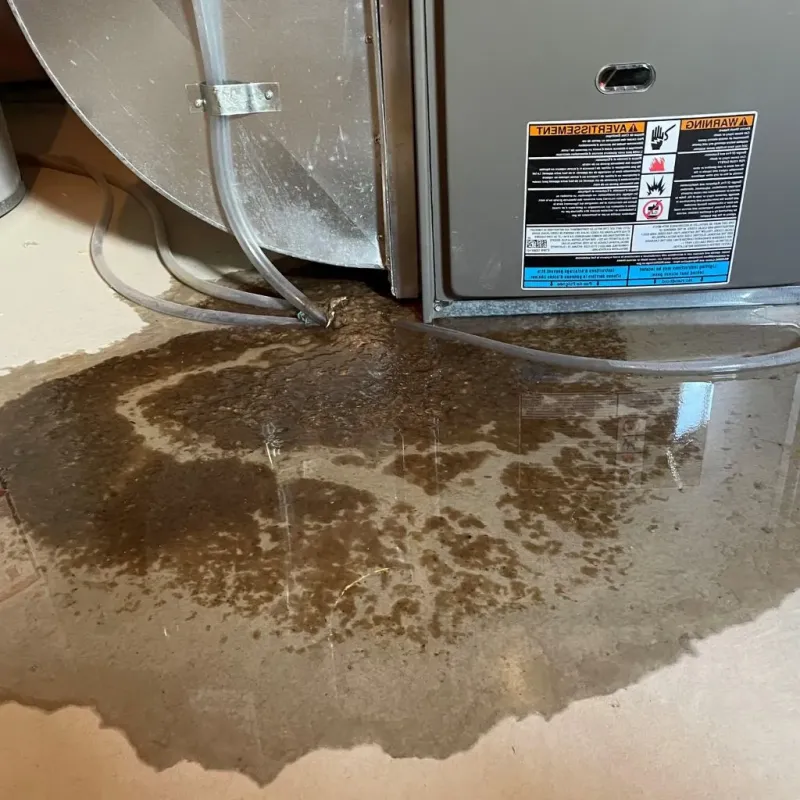 Pipe Burst and Leak Restoration in Rockport, TX